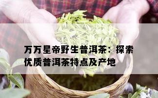 万万星帝野生普洱茶：探索优质普洱茶特点及产地