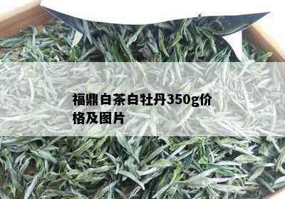 福鼎白茶白牡丹350g价格及图片