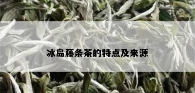 冰岛藤条茶的特点及来源