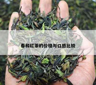 春和红茶的价格与口感比较