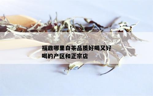 福鼎哪里白茶品质好喝又好喝的产区和正宗店