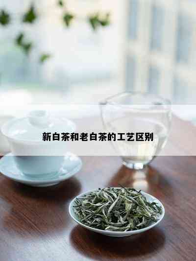 新白茶和老白茶的工艺区别