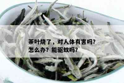 茶叶烧了，对人体有害吗？怎么办？能驱蚊吗？