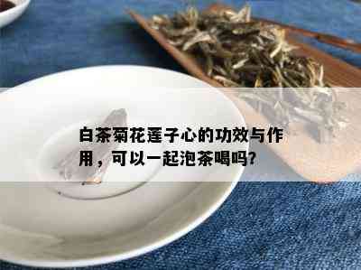 白茶菊花莲子心的功效与作用，可以一起泡茶喝吗？