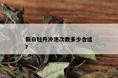 新白牡丹冲泡次数多少合适？