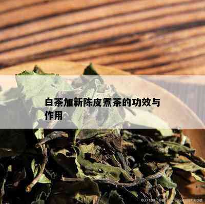 白茶加新陈皮煮茶的功效与作用