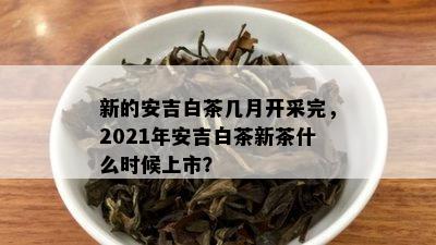 新的安吉白茶几月开采完，2021年安吉白茶新茶什么时候上市？