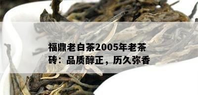 福鼎老白茶2005年老茶砖：品质醇正，历久弥香