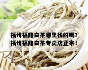 福州福鼎白茶哪里找的喝？福州福鼎白茶专卖店正宗！