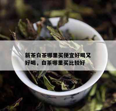 新茶白茶哪里买便宜好喝又好喝，白茶哪里买比较好