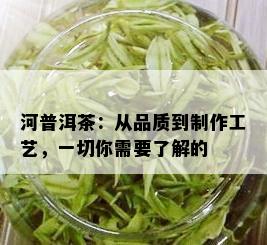 河普洱茶：从品质到制作工艺，一切你需要了解的