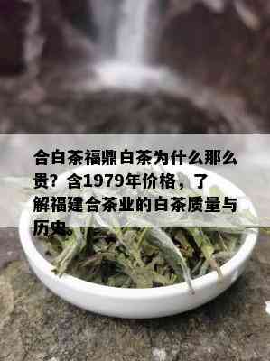 合白茶福鼎白茶为什么那么贵？含1979年价格，了解福建合茶业的白茶质量与历史。