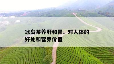 冰岛茶养肝和胃、对人体的好处和营养价值