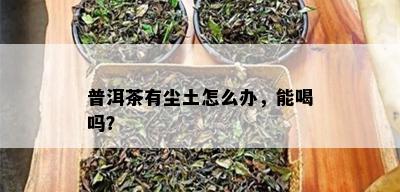 普洱茶有尘土怎么办，能喝吗？