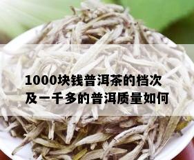 1000块钱普洱茶的档次及一千多的普洱质量如何