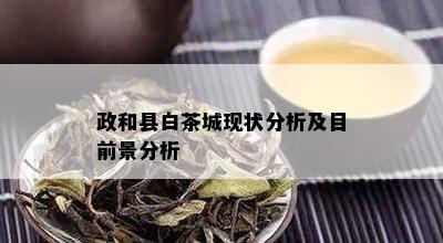 政和县白茶城现状分析及目前景分析