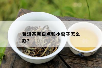 普洱茶有白点和小虫子怎么办？