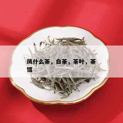 凤什么茶，白茶，茶叶，茶馆