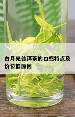 白月光普洱茶的口感特点及价位低原因