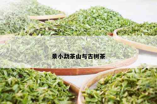 景小勐茶山与古树茶