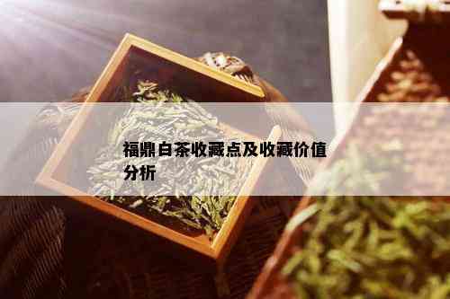 福鼎白茶收藏点及收藏价值分析