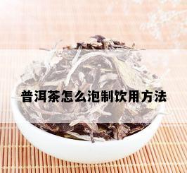 普洱茶怎么泡制饮用方法