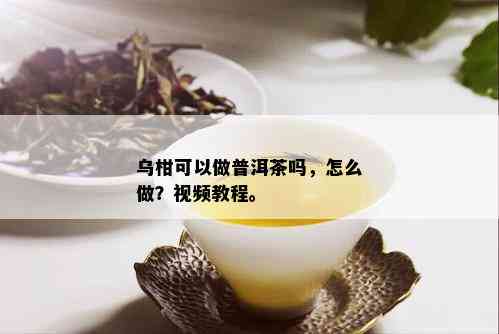 乌柑可以做普洱茶吗，怎么做？视频教程。