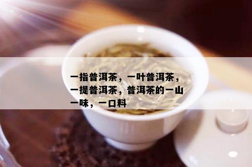 一指普洱茶，一叶普洱茶，一提普洱茶，普洱茶的一山一味，一口料