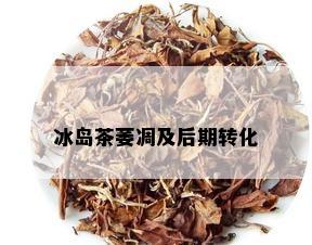 冰岛茶萎凋及后期转化