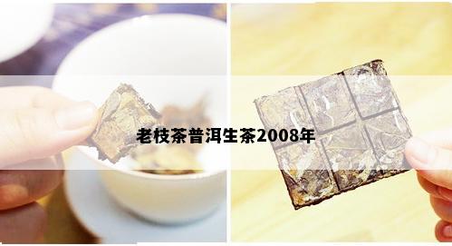 老枝茶普洱生茶2008年