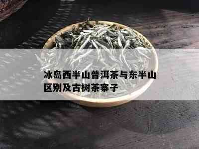 冰岛西半山普洱茶与东半山区别及古树茶寨子