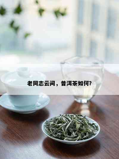 老同志云间，普洱茶如何？