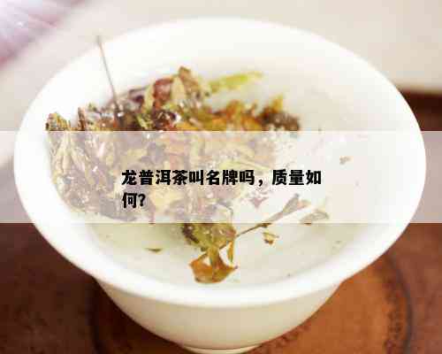 龙普洱茶叫名牌吗，质量如何？