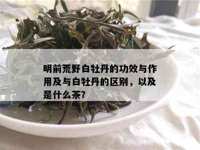 明前荒野白牡丹的功效与作用及与白牡丹的区别，以及是什么茶？