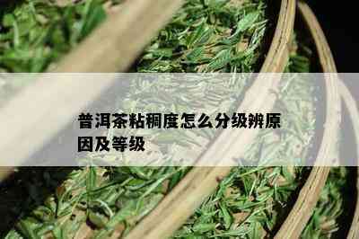 普洱茶粘稠度怎么分级辨原因及等级