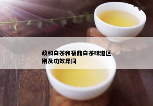 政和白茶和福鼎白茶味道区别及功效异同