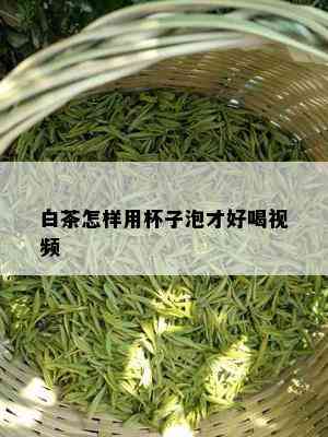 白茶怎样用杯子泡才好喝视频