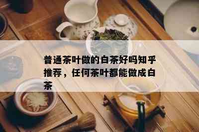 普通茶叶做的白茶好吗知乎推荐，任何茶叶都能做成白茶