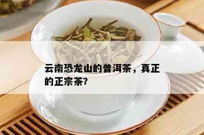 云南恐龙山的普洱茶，真正的正宗茶？