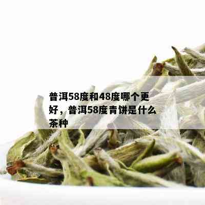 普洱58度和48度哪个更好，普洱58度青饼是什么茶种