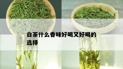 白茶什么香味好喝又好喝的选择