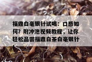 福鼎白毫银针试喝：口感如何？附冲泡视频教程，让你轻松品尝福鼎白茶白毫银针！