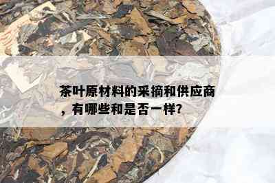 茶叶原材料的采摘和供应商，有哪些和是否一样？