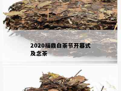 2020福鼎白茶节开幕式及念茶