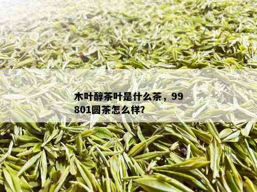 木叶醇茶叶是什么茶，99801圆茶怎么样？