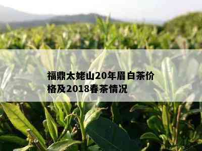 福鼎太姥山20年眉白茶价格及2018春茶情况