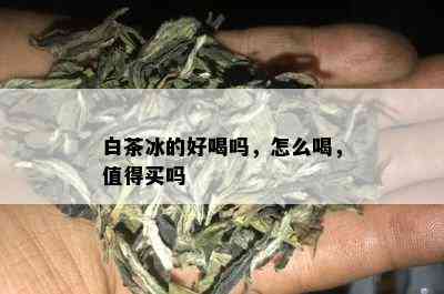 白茶冰的好喝吗，怎么喝，值得买吗