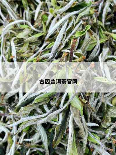 古因普洱茶官网