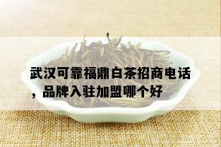 武汉可靠福鼎白茶招商电话，品牌入驻加盟哪个好