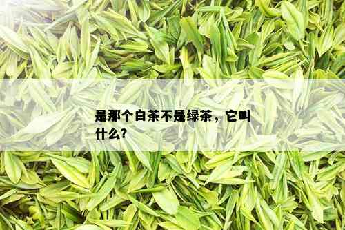 是那个白茶不是绿茶，它叫什么？